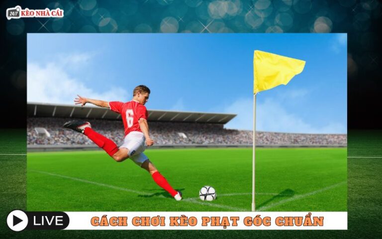 Cach Choi Keo Phat Goc Chuan Chi Va De Hieu Cho Newbie