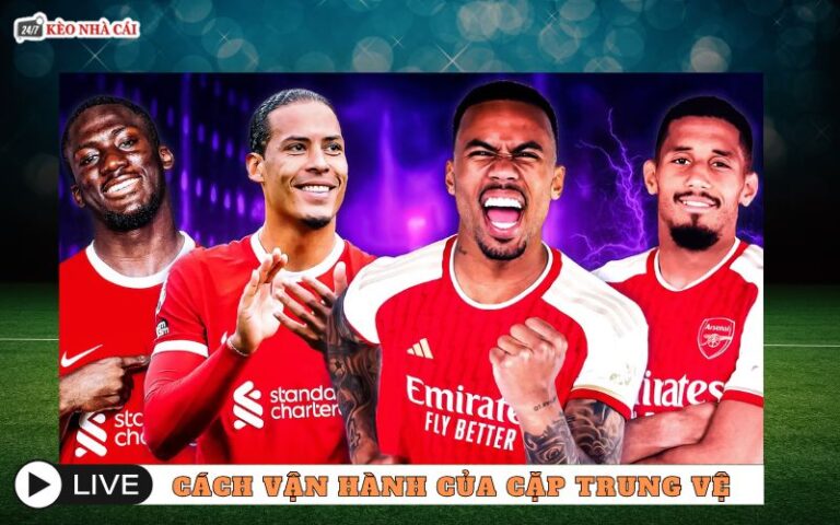 Cach Van Hanh Cua Cap Trung Ve – Bo Nao Tham Lang Noi Hang Phong Ngu