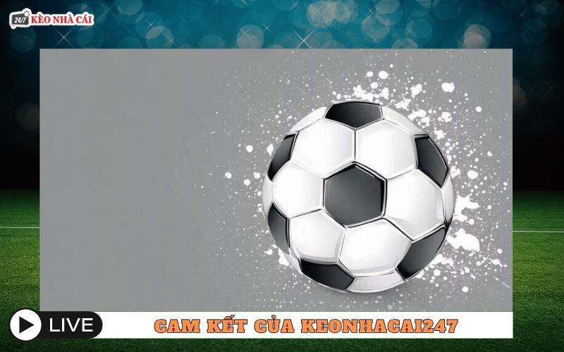 Cam kết của keonhacai247 với người dùng