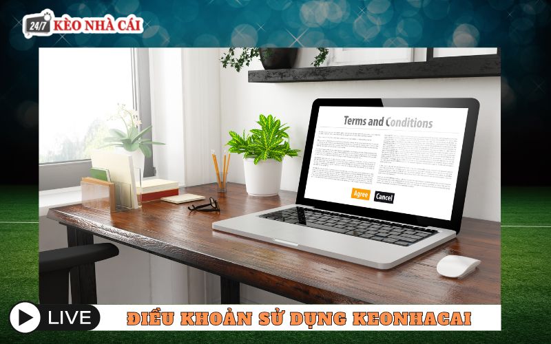 Giới thiệu chung về điều khoản sử dụng keonhacai247
