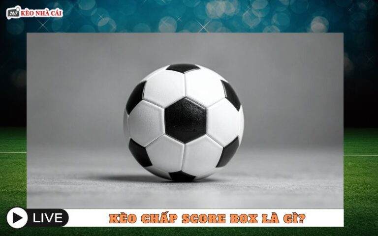 Kèo Chấp Score Box Là Gì? Nhìn Đúng Để Không Đặt Nhầm Kèo