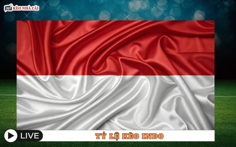 Keo Indo Indo Odds La Gi Giai Thich Thuc Te Va De Hieu Cho Newbie