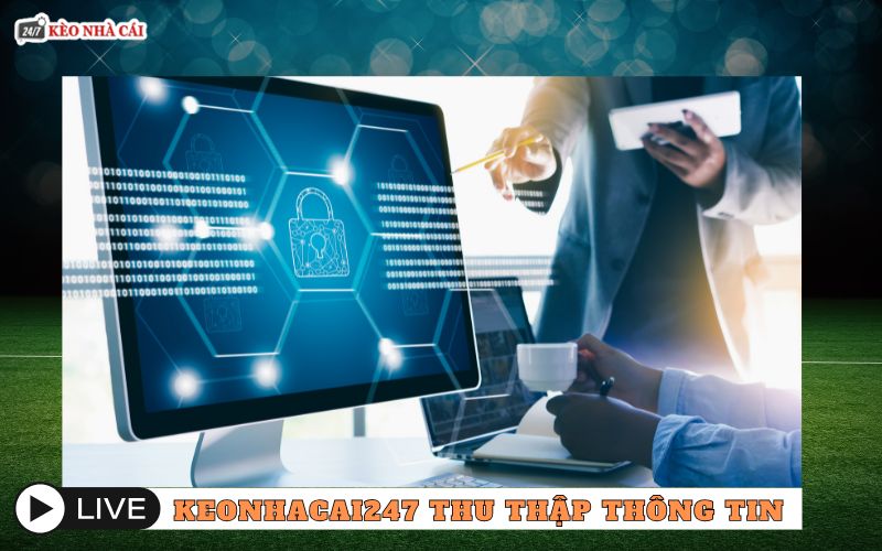 Keonhacai247 thu thập những thông tin nào?