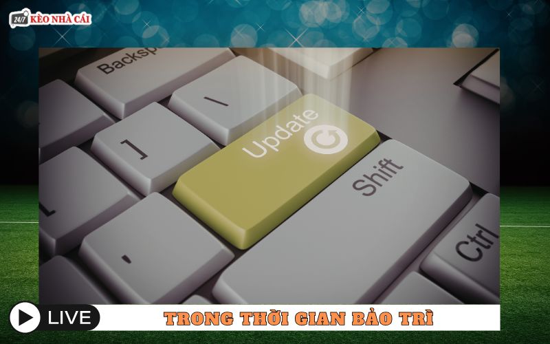 Miễn trừ trách nhiệm trong thời gian bảo trì