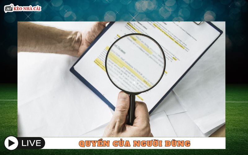 Quyền và trách nhiệm của người dùng